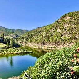 Wunderschöne Vegetation und Blick auf einen ruhigen Fluss