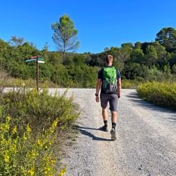 Wanderer mit grünem Rucksack auf Schotterweg in Cinque Terre. Wegweiser links, umgeben von gelben Wildblumen und Bäumen.