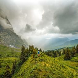 Hikers on the Grosse Scheidegg with a view to Grindelwald