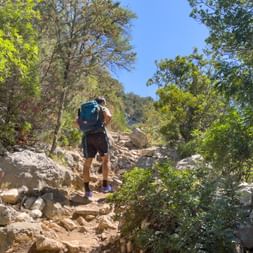Hiker on a stone path