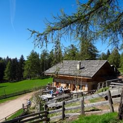 Moelten Alm