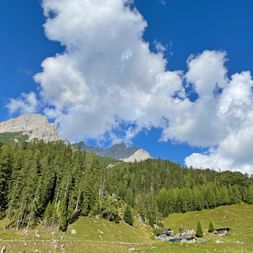 Hike across the Kitzbühel Alps with a view of the Steinalm summit