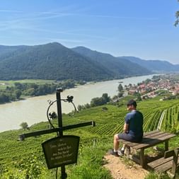 Hiker on the Wachau World Heritage Trail at Weissenkirchen-Spitz