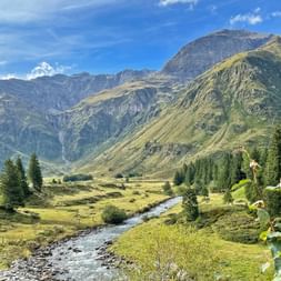 Mountain stream