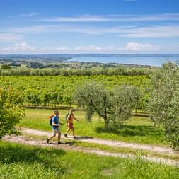 Rund um den Gardasee
