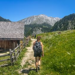 Wanderin mit Rucksack auf Feldweg durch blühende Wiese im Berchtesgadener Land, mit Holzzaun, Almhütte und Bergen.