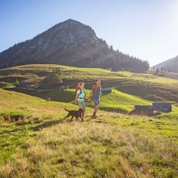 Wanderung eines Paares mit Hund auf der Genneralm