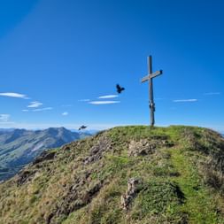 Wooden summit cross on grassy Kleberkopf peak with two birds flying, mountain ranges visible in background under blue sky.