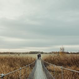 Two hikers walking on a wooden boardwalk through golden autumn wetland on Skåneleden trail in Sweden under overcast sky.