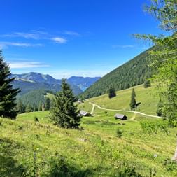 Alpine landscape at the Niedergadenalm