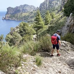 Hiking trail on the west coast