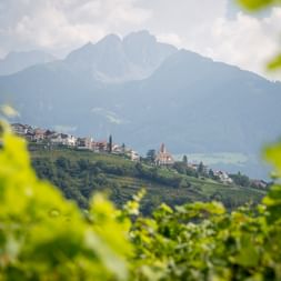 Wandern in Südtirol Panorama