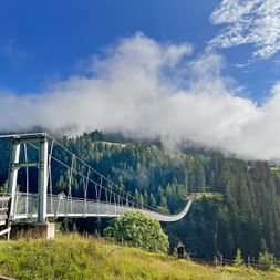 Holzgau suspension bridge in the midst of nature