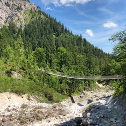 Hiking impressions suspension bridge