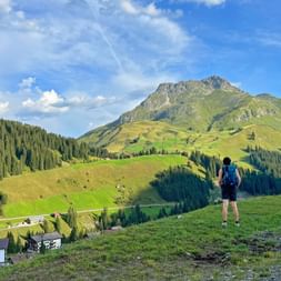 Blick auf das Karhorn in Warth