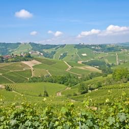 In the vineyards with panoramic views Piedmont