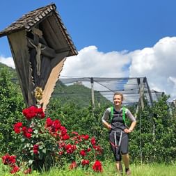 Apfelhaine in Südtirol