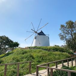 Windmühle an der Rota Vicentina