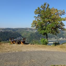 Rastplatz am Rheinsteig