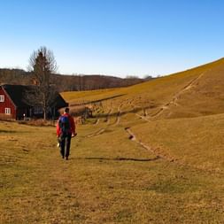 Idyllic path in Sweden