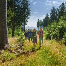 Rennsteig Wanderer im Wald