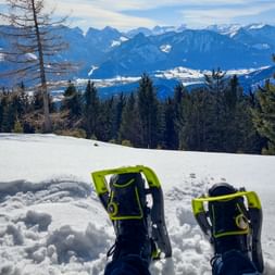 Gelb-schwarze Schneeschuhe auf verschneitem Boden mit Bergpanorama. Wald und schneebedeckte Gipfel unter blauem Himmel sichtbar.