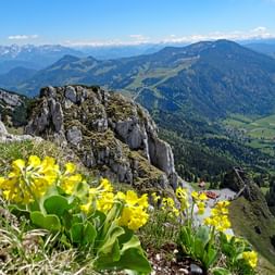 Hiking tour on moutain Wendelstein with mountain view and flowers