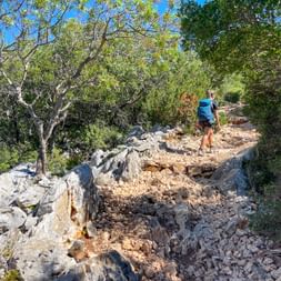 Hiker on a stone path