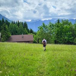 Hiker with backpack walking through green meadow on Goiserer Almweg. Alpine huts and forest visible, mountains in background under cloudy sky.