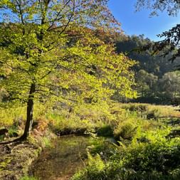 Teich auf Rundweg im Räuberland