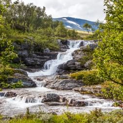 Kaskadierender Wasserfall über felsiges Gelände in Funäsfjällen, Schweden. Grüne Birken rahmen die Aussicht mit schneebedeckten Bergen im Hintergrund.