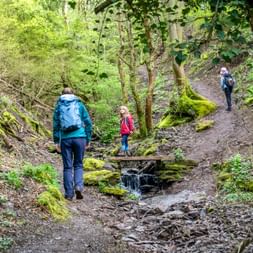 Wanderpfad am Bach durch den Wald nach Cochem