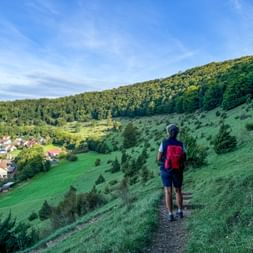 Hiker with red backpack on hillside trail near Pappenheim, overlooking village and forested valley in the Altmühltal region under blue sky.