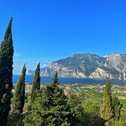 Panoramic view of Lake Garda with dramatic mountain peaks, cypress trees in foreground, and a lakeside village nestled below under clear blue sky.