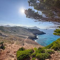 Coastal view Llevant