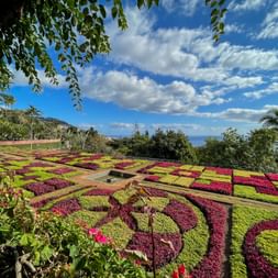 Funchal Monte Botanical Garden