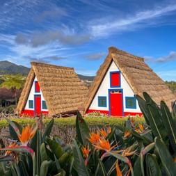 Beautiful red and blue traw houses in Santana