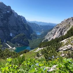 Panoramablick auf die Gosauseen