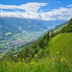 Meraner Höhenweg mit Ausblick auf Naturns