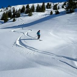 Skifahrer in türkisfarbener Jacke fährt unberührten Schneehang mit geschwungenen Spuren ab. Nadelbäume und Berggipfel unter blauem Himmel.