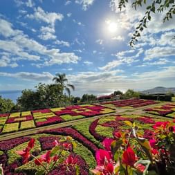 Blühende Blumen im botanischen Garten in Funchal