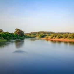 Ruhiger Fluss mit grüner Vegetation an beiden Ufern unter klarem Himmel in Portugal. Sandige Ufer und Bäume säumen das Wasser am Jakobsweg.