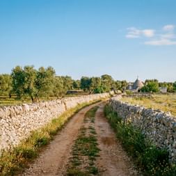 Wanderweg entlang einer Steinmauer