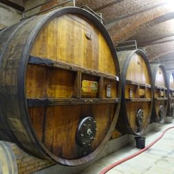 Weinkellerei Marchhesi di Barolo Weinkellerei Marchhesi di Barolo