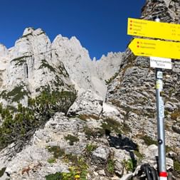 Signpost with a view of the Dachstein rock massif