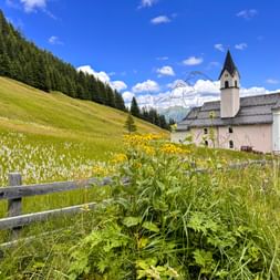 Kirche Maria Waldrast mit weißem Turm in Matrei, umgeben von grünen Almwiesen mit Wildblumen und Holzzaun, bewaldete Berge dahinter.