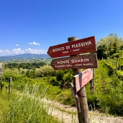 Hölzerne Wegweiser zu Bosco di Plessiva Park und Monte Quarin in den Julischen Alpen, mit grünen Hügeln und blauem Himmel im Hintergrund.