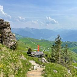 Hiking trail leading to a mountain hut with orange tower on Kitzbüheler Horn. Green alpine meadows and mountain ranges visible under blue sky.