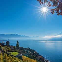 Lavaux am Genfer See