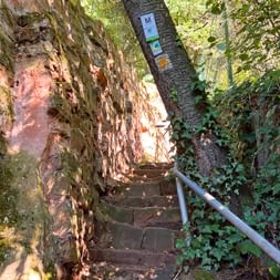 The 11-step path on the Moselsteig The 11-step path on the Moselsteig